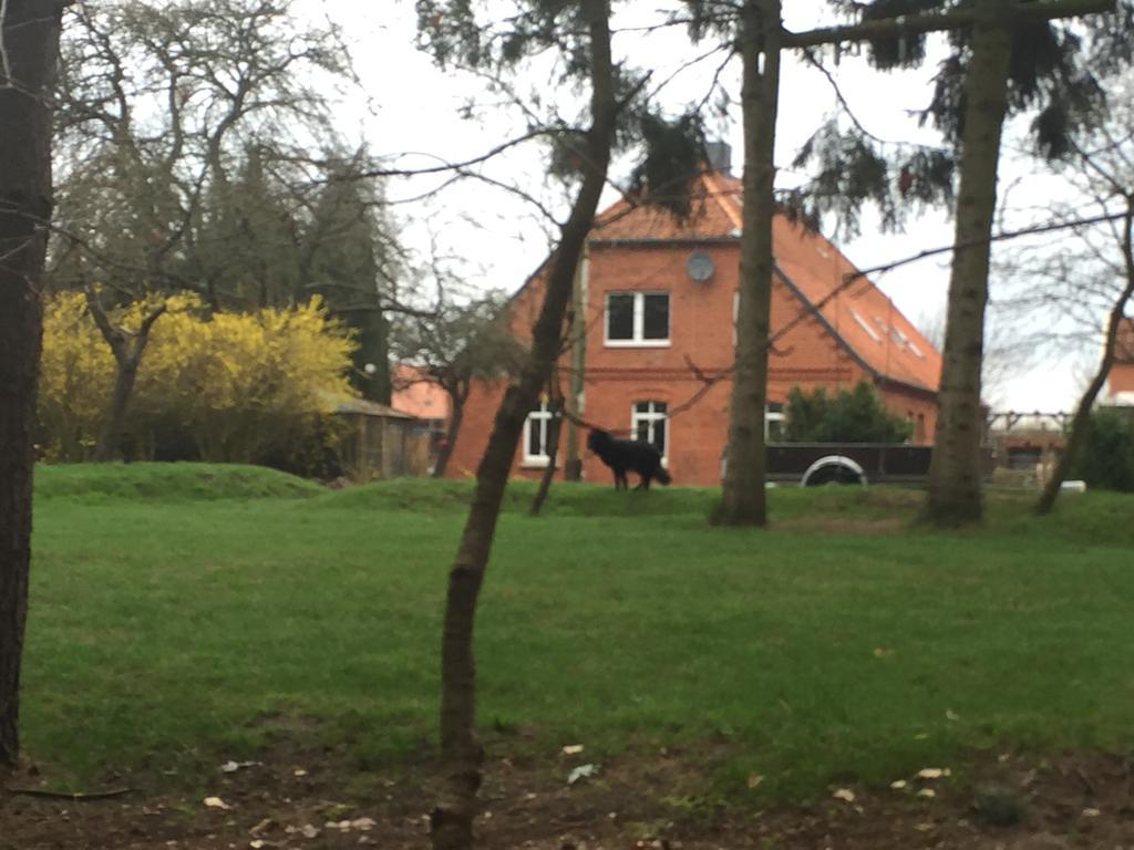 Rullstorf Ferienwohnung Garten Eben מראה חיצוני תמונה